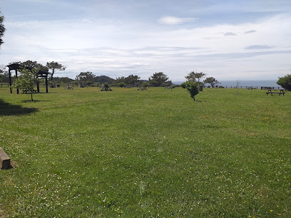 Imagen de Área Recreativa Salias situado en nan, Asturias
