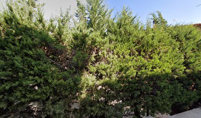 Imagen de Parque infantil situado en Ainzón, Zaragoza